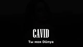 Cavid tı moya dunya