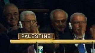 Palestine celebrates UN vote recognition