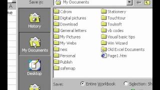 Celebrity Microsoft Office Excel 2000 Save a workbook as a web page Profile