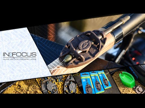 IN FOCUS: CRESTA