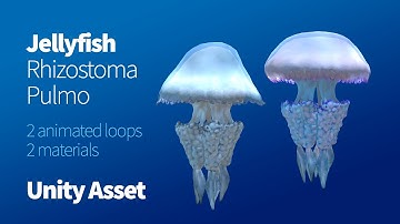 Jellyfish Rhizostoma Pulmo (Unity Asset)