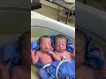 #twins #baby #fblifestyle #cute