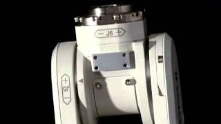 The Real Numabot