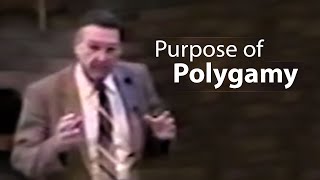 What was the purpose of Polygamy - Dr. Walter Martin