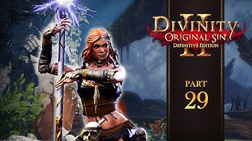 DIVINITY ORIGINAL SIN II | Part 29