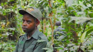 How communities are earning from tourism, protecting forests