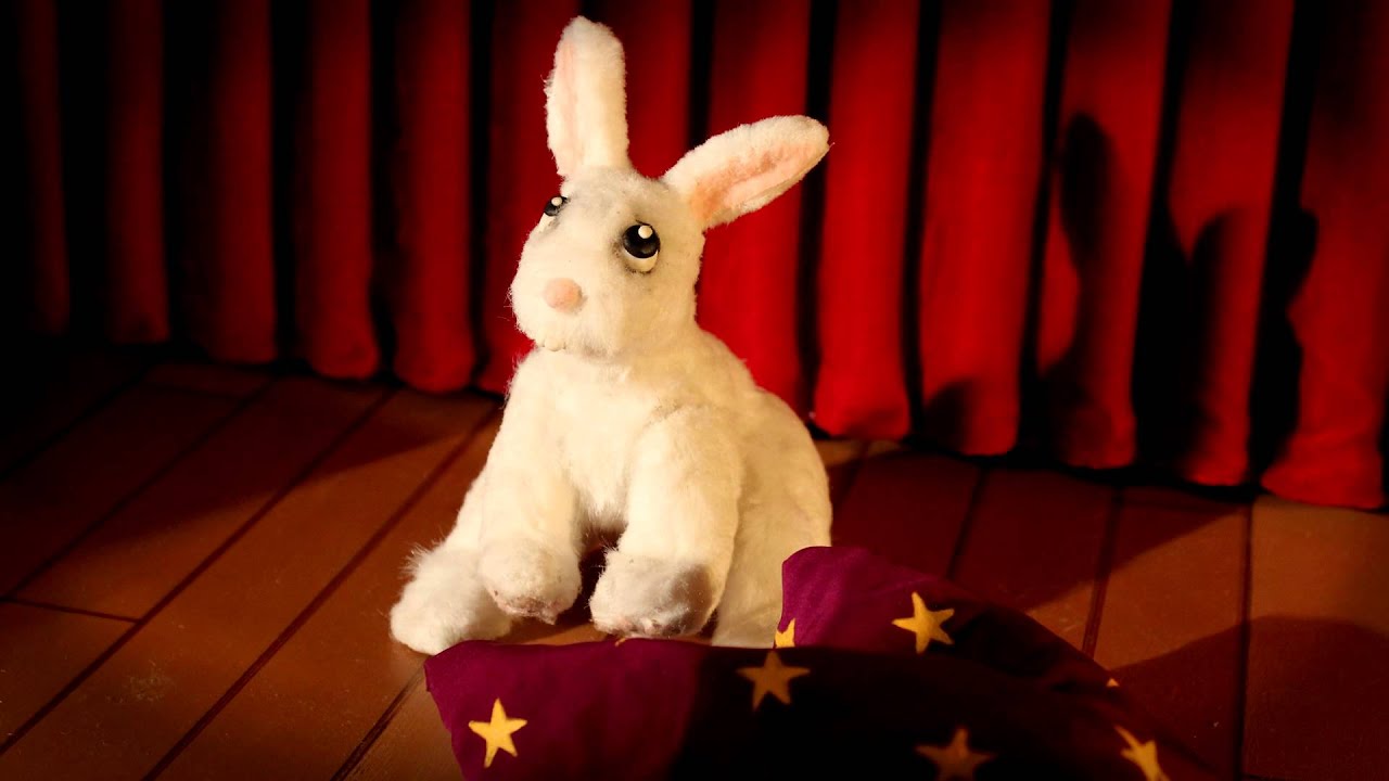 Conejo en el Sombrero - YouTube