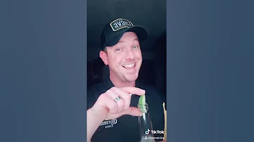 Corona Virus 