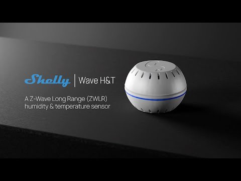 Shelly Wave H&T (US)