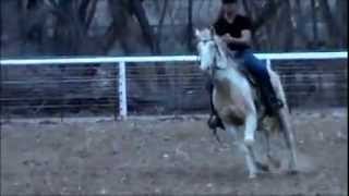 Cody Stahly Horse Training. From Off The Race Track to Soft and Responsive in 12 days screenshot 3