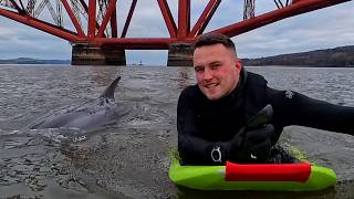 Dolphin Encounter in Scotland