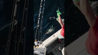 Slayin' Yellowfin Tuna w/ DEKit