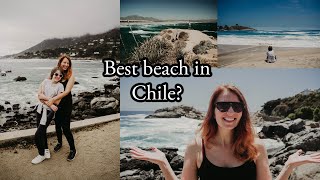 5 of the BEST beaches in CHILE! From penguins to mansions!!