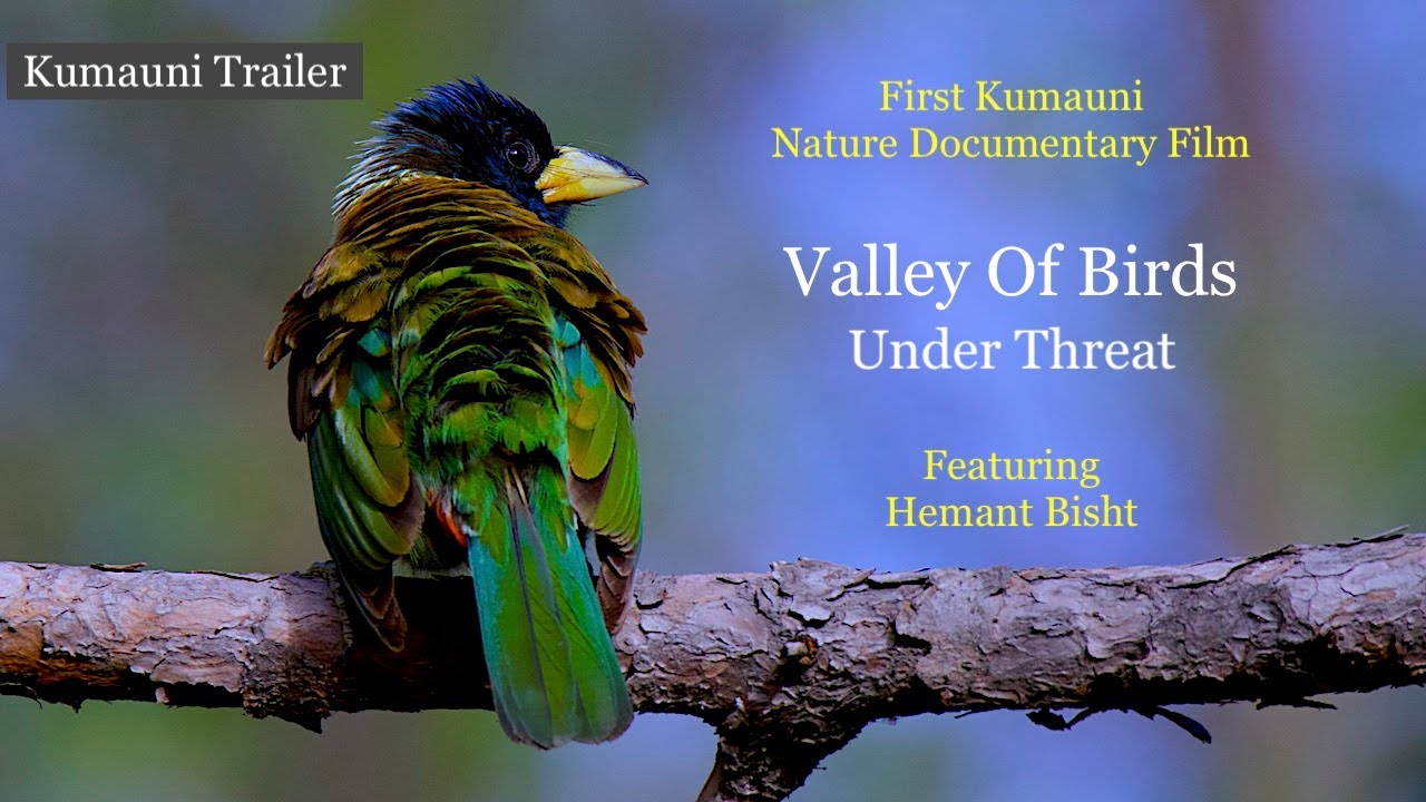 Kumauni Trailer | Valley of Birds Under Threat | Uttarakhand's First Nature Documentary in Kumauni!