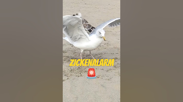 Wenn dich der Hunger packt. 🍤🍽️