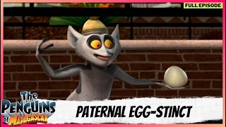 The Penguins of Madagascar | Full Episode | Paternal Egg-Stinct