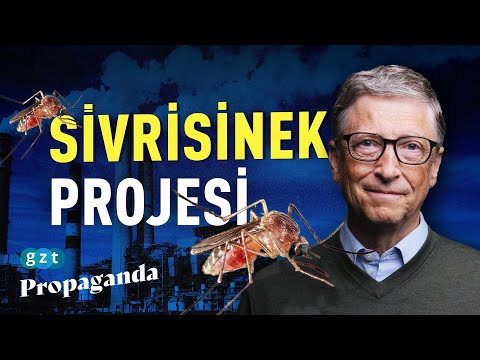 Bill Gates’in sinekleri dünyaya ne yapacak?