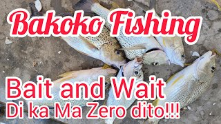 Saturday Bakoko Fishing 30.04.2023 #fish #fishing #dubai by Gerry’s Multi-Sports 105 views 1 year ago 7 minutes, 6 seconds