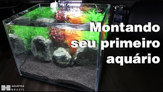 Montando seu primeiro aquário (Iniciante) [PARTE 1]  Montagem, condicionamento da água e introdução