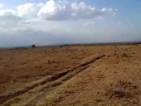 Joska Kangundo Road Plots for sale in Kenya near Dovoini