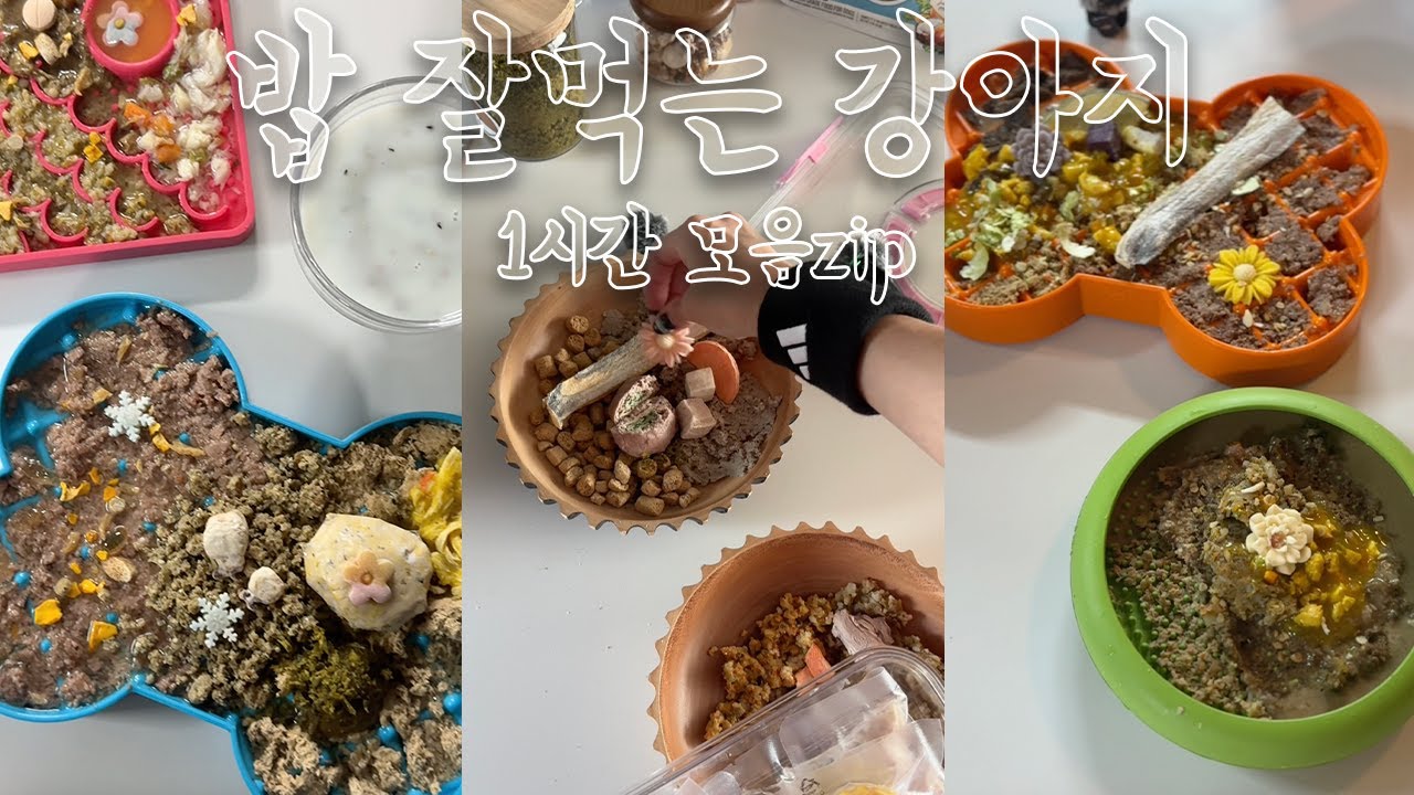 슬로우 피더 만랩 밥 잘 먹는 강아지 거진 1시간 모음 Zip (달루카밥상 영상 모음)