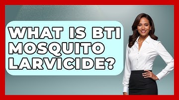 What Is BTI Mosquito Larvicide? - Insects and Invaders