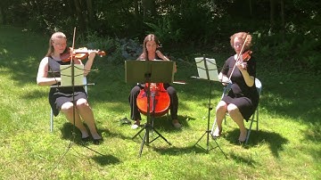 Canon in D - Presto Strings