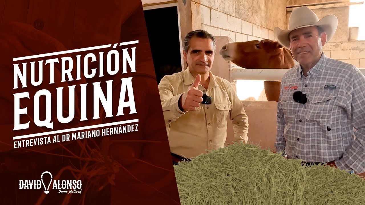 La Nutrición en Equinos | Entrevista al Dr Mariano Hernández