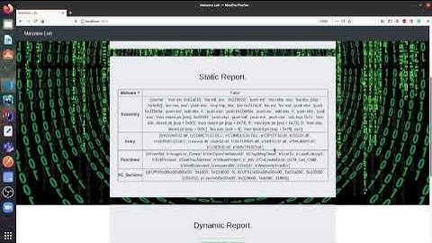 Automated Malware Analysis