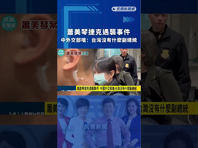 蕭美琴捷克遇襲事件   中外交部嗆：台灣沒有什麼副總統｜民視新聞｜
