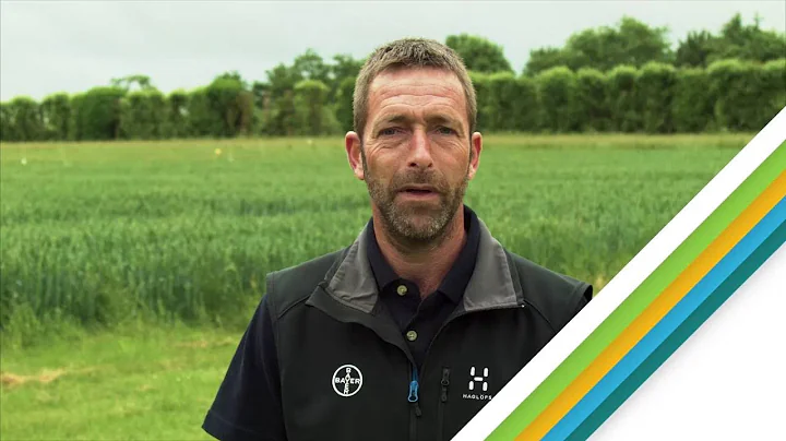 New Bayer herbicide: Should Hamlet be applied with...
