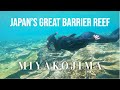 Japan's Most Beautiful Snorkeling Spot | Yabiji Coral Reef | Miyakojima Vlog Part 3