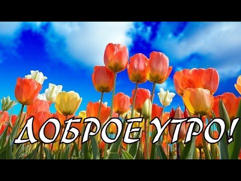 ДОБРОЕ УТРО/Красивая Музыкальная Открытка С Добрым Утром/ Пожелание Друзьям/Guten Morgen