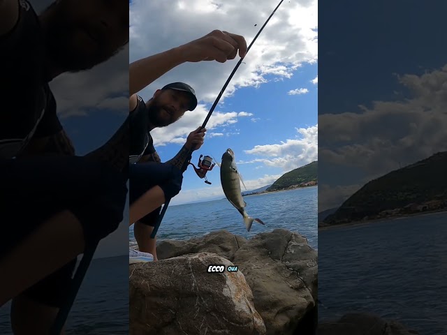 Pescatina a bolognese con mare in scaduta