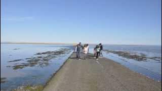 Lindisfarne (Holy Island) Causeway Tide Timelapse