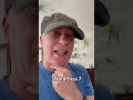 È arrivato WordPress 7