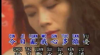 新鴛鴦蝴蝶夢 (莉莉精選輯) 新鴛鴦蝴蝶夢 (莉莉精選輯)