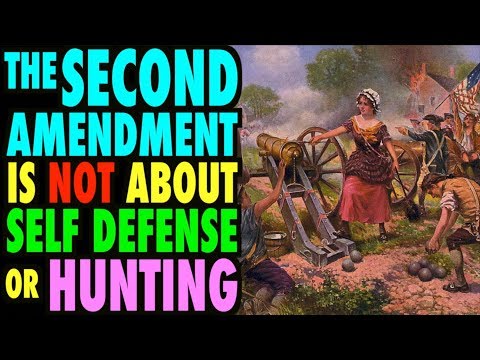 The 2nd Amendment is NOT about Hunting or Self Defense (Rant)