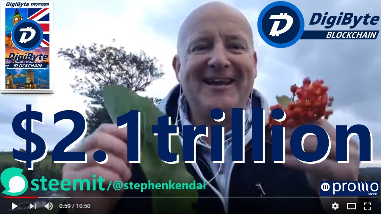 The DigiByte Blockchain valued at $2.1trillion with a Bunch of Red Berries, a Dock Leaf and a Key.!!