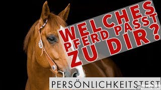 ❤️️ Welches Pferd passt zu dir? Persönlichkeitstest! ❤️️ screenshot 2