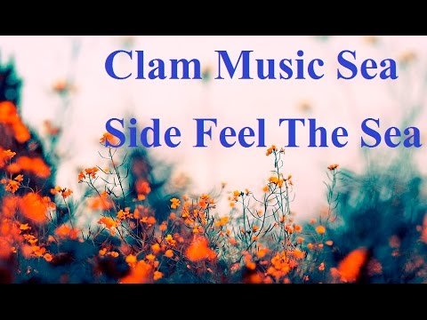 1 Hour Relaxing Music II Clam Music Sea Side Feel The Sea