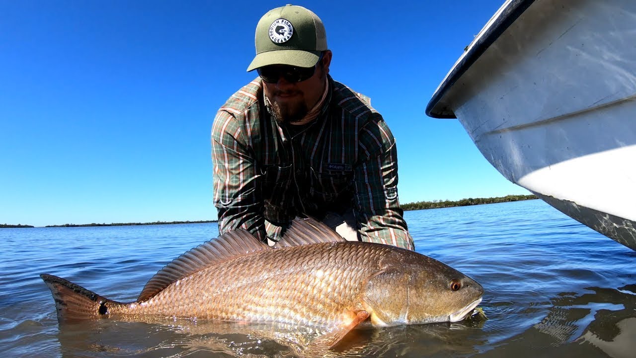 Vudu Shrimp Catching Big Florida Redfish YouTube