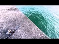 堤防から過去最高峰の魚が釣れた。