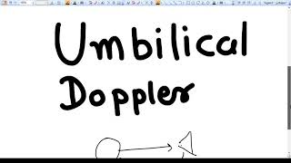 Umbilical Artery Doppler - The Gynecology Professor