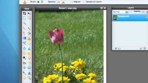Pixlr: Clone Stamp Tool