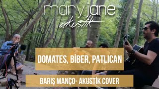 Mary Jane - Domates Biber Patlıcan (Barış Manço Canlı Akustik Cover)