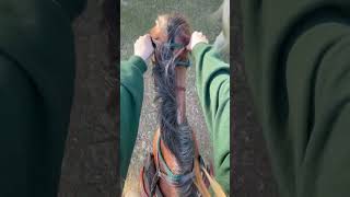 Kinda bad but whatever 🤷‍♀️ #horse #equestrianjourney #equestrian #fyp#horseriding #horsegirl