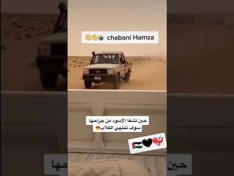 أصحاب التهريب في الحدود الليبية الجزائرية ليبيا الجزائر 