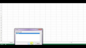 Hide & Unhide Sheet with Excel VBA || Hindi || Make Easy Excel