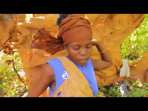 MAIMUNA GWALI MUSAMBWA BY ROSHAN KEY MUSIC Visualizer Video